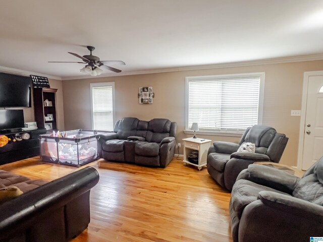 living room featuring ornamental molding, a ceiling fan, and light wood-style floors