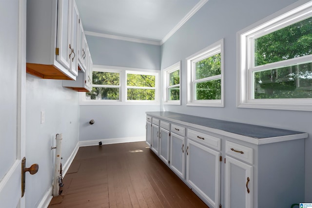 1730 Cullom St S, Birmingham, AL 35205 - laundry room featuring dark wood-type flooring, ornamental molding, baseboards, and cabinet space