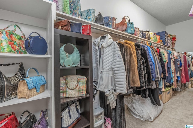 walk in closet with carpet floors
