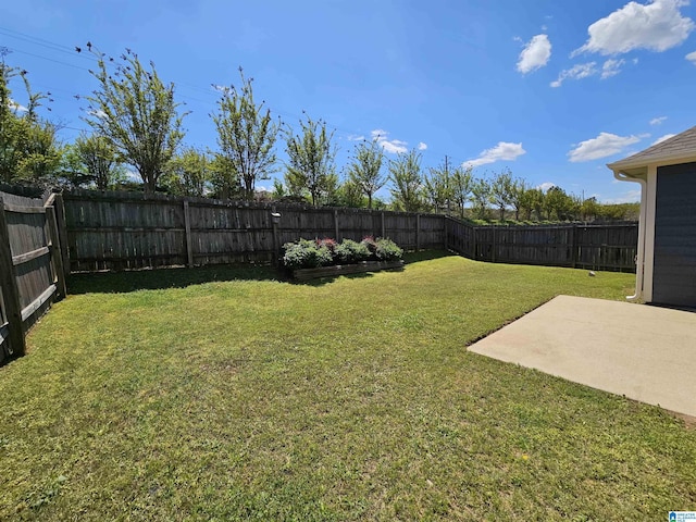 view of yard with a patio and a fenced backyard