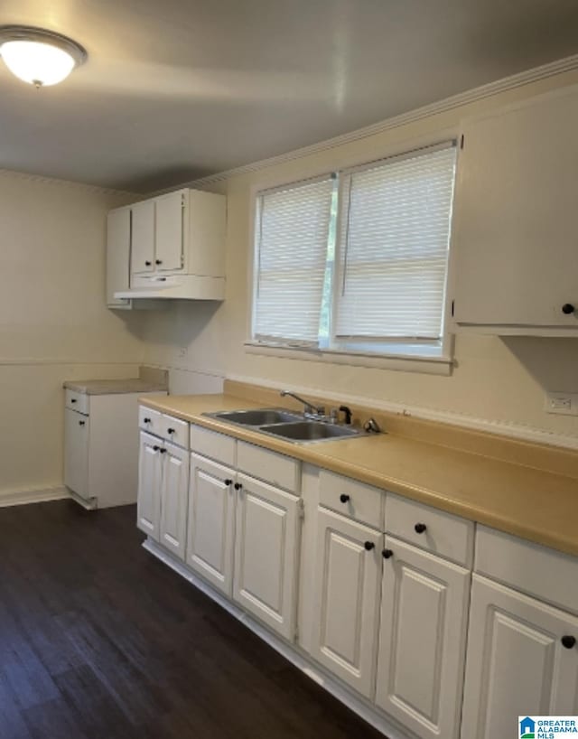 kitchen featuring light countertops, a sink, dark wood-style floors, and white cabinets