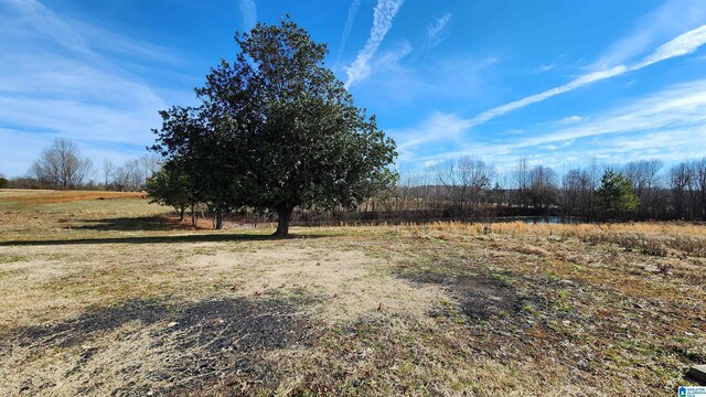 view of yard with a rural view