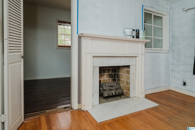 room details featuring baseboards, wood finished floors, and a premium fireplace