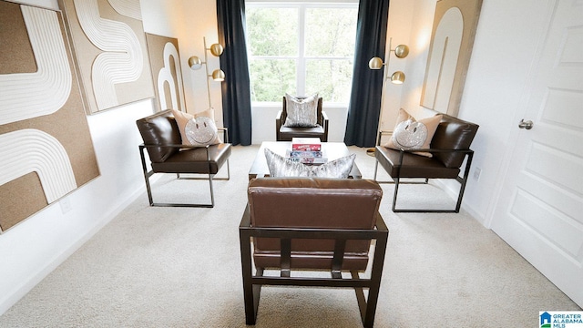 living area featuring baseboards and carpet floors