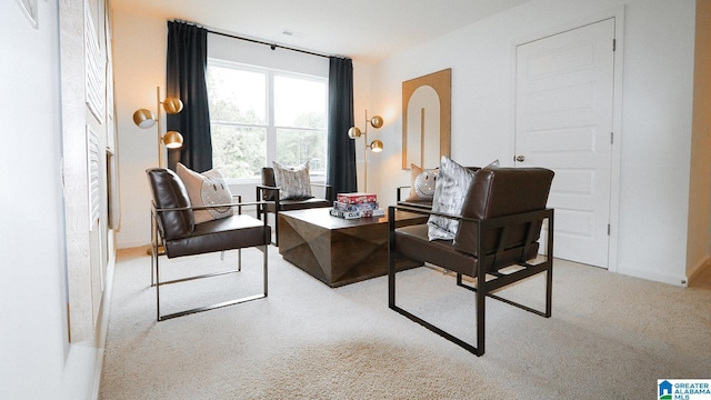 interior space with carpet