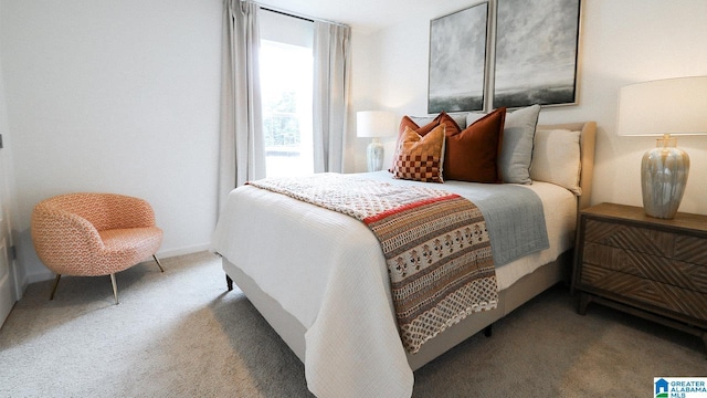 view of carpeted bedroom