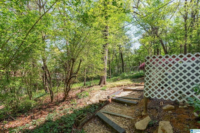 view of yard with a wooded view