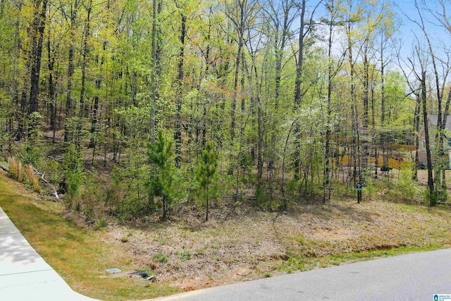 view of nature featuring a forest view