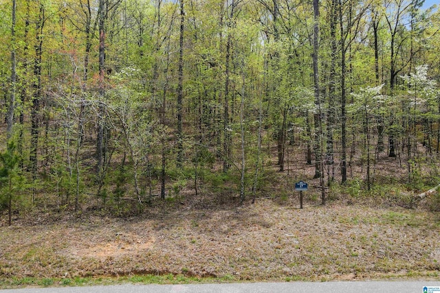 view of landscape with a wooded view
