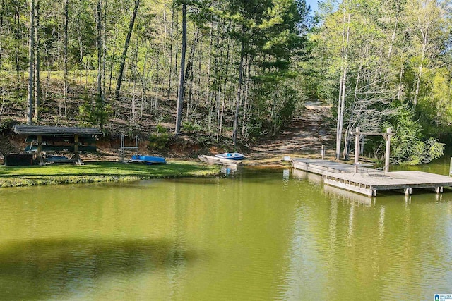 dock area with a water view