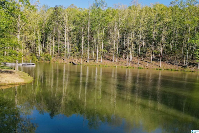 water view with a view of trees