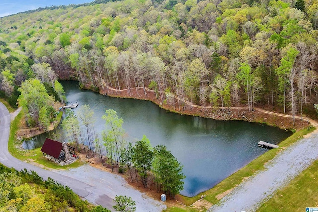 drone / aerial view featuring a water view and a view of trees