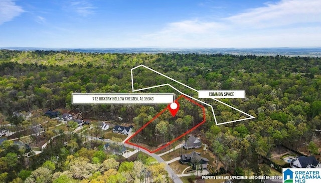 bird's eye view with a forest view