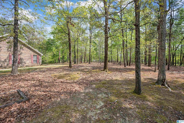 view of yard featuring a view of trees
