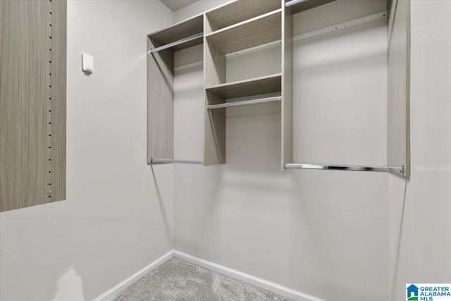 88 Glen Trce, Springville, AL 35146 - walk in closet with carpet flooring