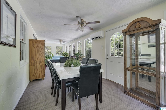 sunroom / solarium featuring a wall mounted AC