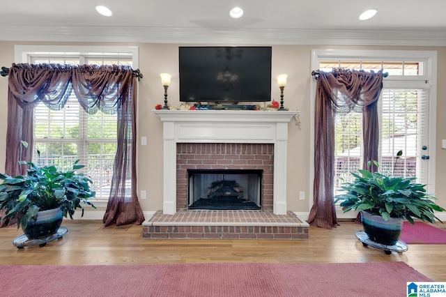 living room with ornamental molding, baseboards, wood finished floors, and a fireplace