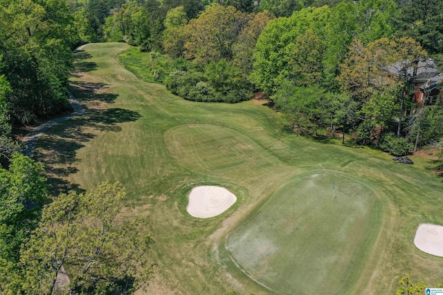 5000 Cameron Rd, Birmingham, AL 35242 - bird's eye view with golf course view