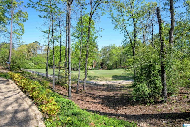 5000 Cameron Rd, Birmingham, AL 35242 - view of home's community