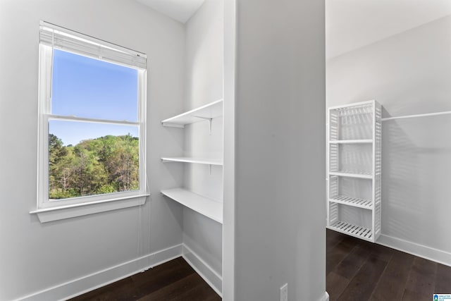 walk in closet featuring wood finished floors