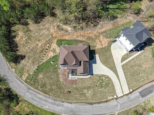 bird's eye view