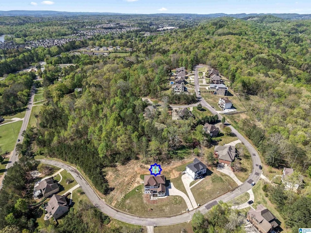 aerial view with a forest view