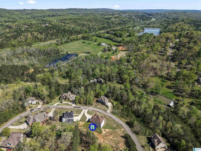 drone / aerial view with a water view and a view of trees