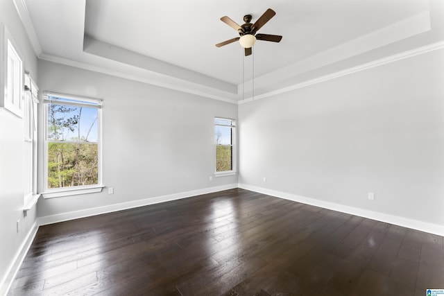 unfurnished room featuring a raised ceiling, dark wood-style flooring, and a wealth of natural light