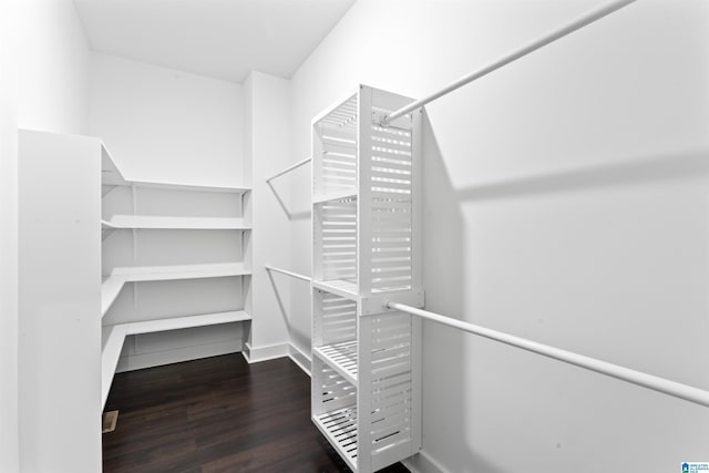 walk in closet featuring wood finished floors