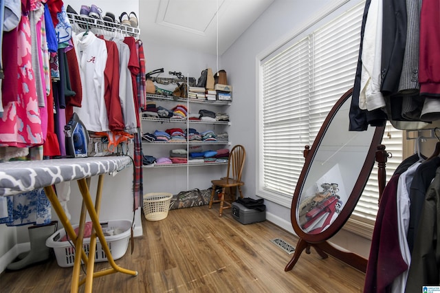 spacious closet featuring wood finished floors