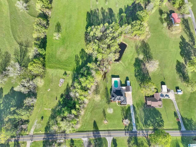 drone / aerial view