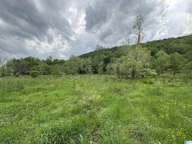 view of nature with a wooded view and a rural view