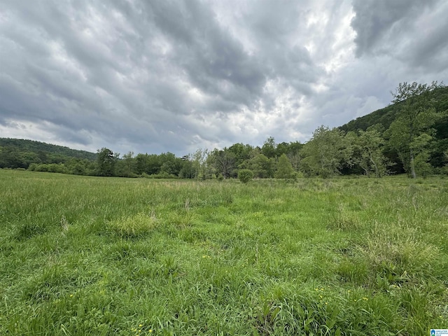 view of nature with a rural view and a view of trees