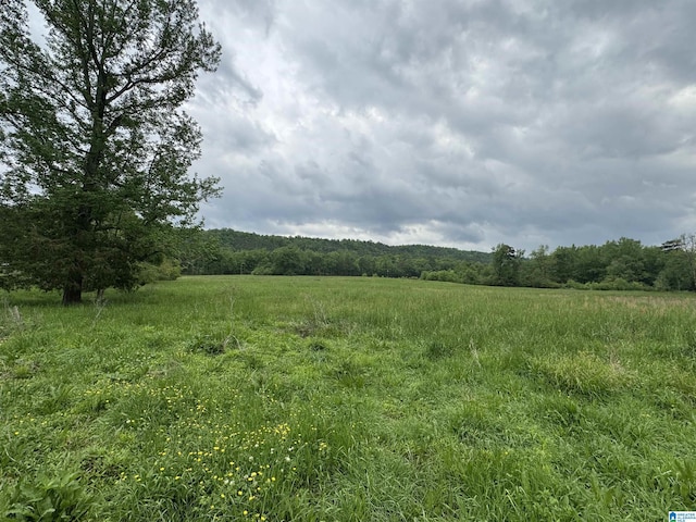 view of landscape with a rural view and a view of trees