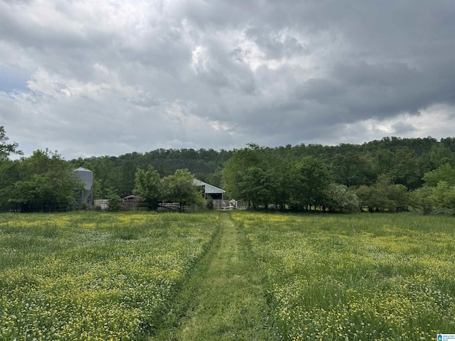 view of yard featuring a rural view and a view of trees