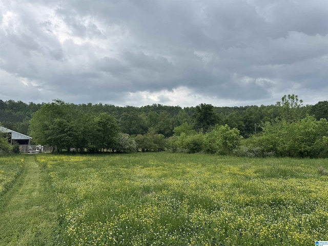 view of yard with a rural view and a forest view