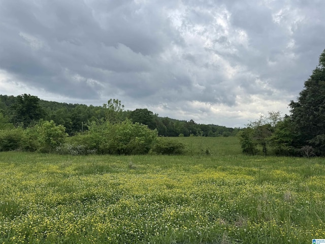 view of nature featuring a wooded view and a rural view