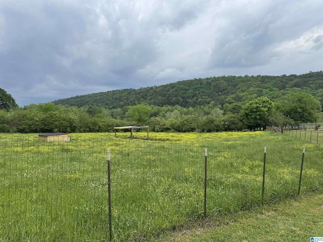 view of yard featuring fence, a rural view, and a forest view