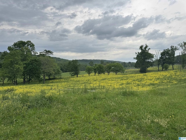 view of landscape with a rural view