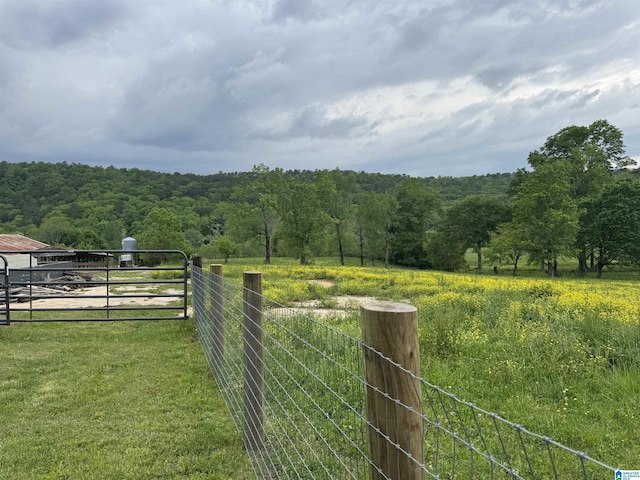 view of yard featuring a wooded view, a rural view, and fence