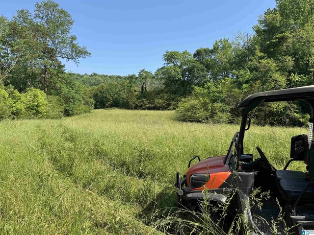 1045A Sand Valley Rd, Remlap, AL 35133 - view of yard with a forest view