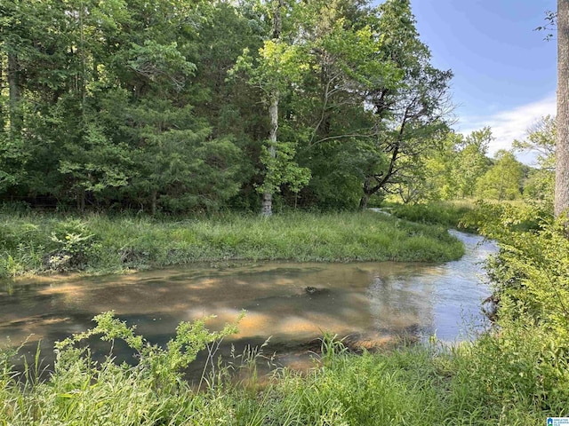 1045A Sand Valley Rd, Remlap, AL 35133 - water view