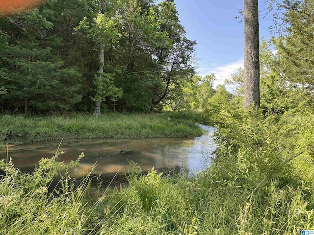 1045A Sand Valley Rd, Remlap, AL 35133 - water view