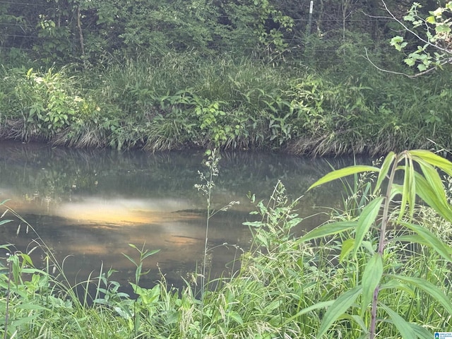 1045A Sand Valley Rd, Remlap, AL 35133 - water view