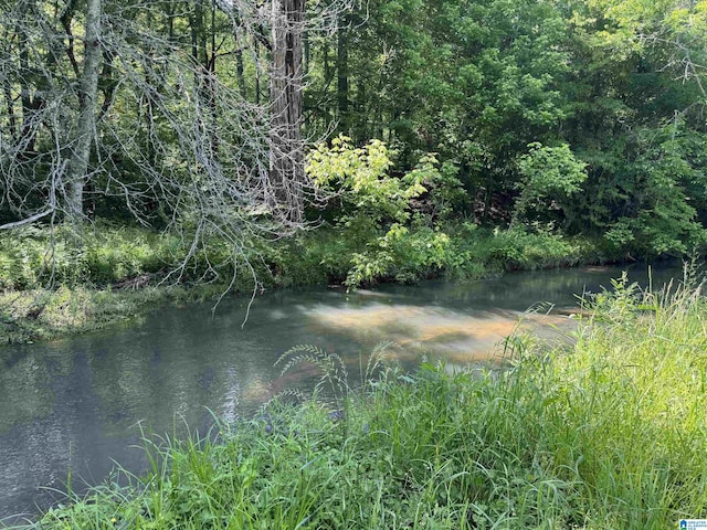 1045A Sand Valley Rd, Remlap, AL 35133 - view of local wilderness