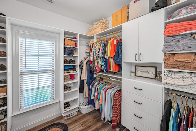 walk in closet featuring dark wood-type flooring
