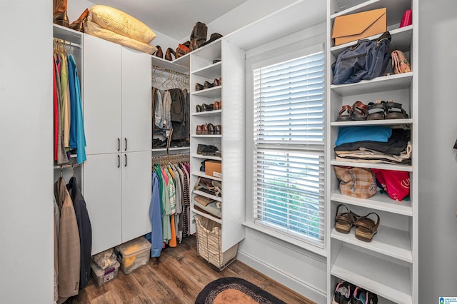 spacious closet featuring wood finished floors