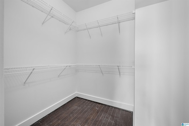 spacious closet with dark wood-type flooring