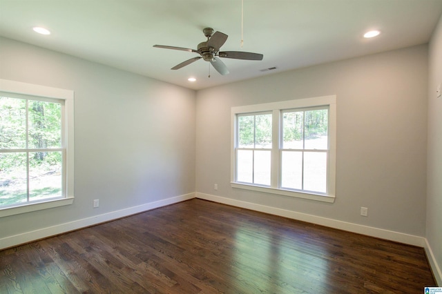 672 Kent Dairy Rd, Alabaster, AL 35007 - spare room featuring dark wood finished floors, plenty of natural light, and baseboards
