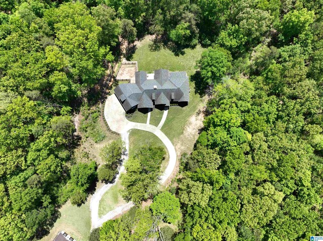 672 Kent Dairy Rd, Alabaster, AL 35007 - birds eye view of property